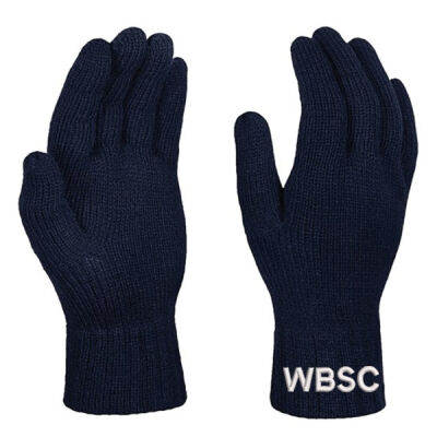 WBSC Gloves Thumbnail